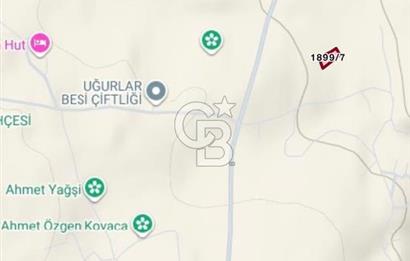 ELMADAĞ YENİMAHALLE TAŞPINAR MEVKİİ'NDE 2.881 M2 SATILIK TARLA
