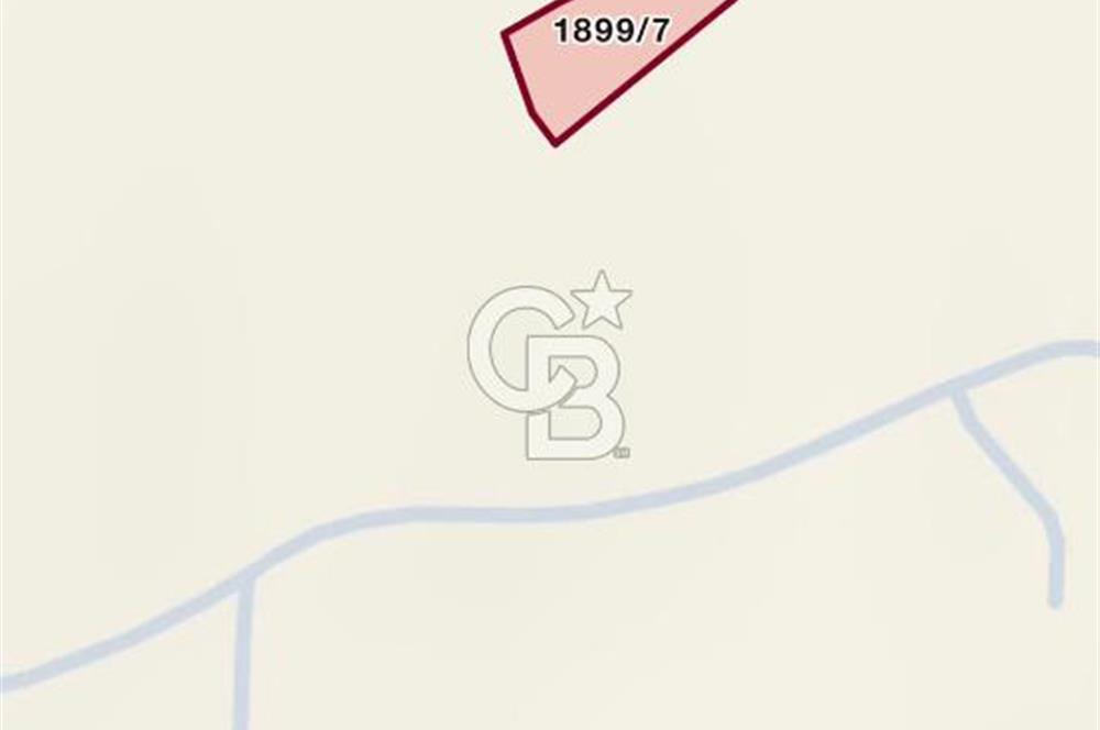 ELMADAĞ YENİMAHALLE TAŞPINAR MEVKİİ'NDE 2.881 M2 SATILIK TARLA