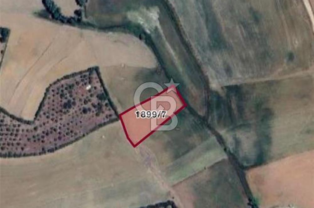 ELMADAĞ YENİMAHALLE TAŞPINAR MEVKİİ'NDE 2.881 M2 SATILIK TARLA
