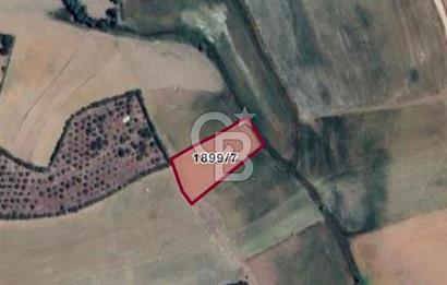 ELMADAĞ YENİMAHALLE TAŞPINAR MEVKİİ'NDE 2.881 M2 SATILIK TARLA