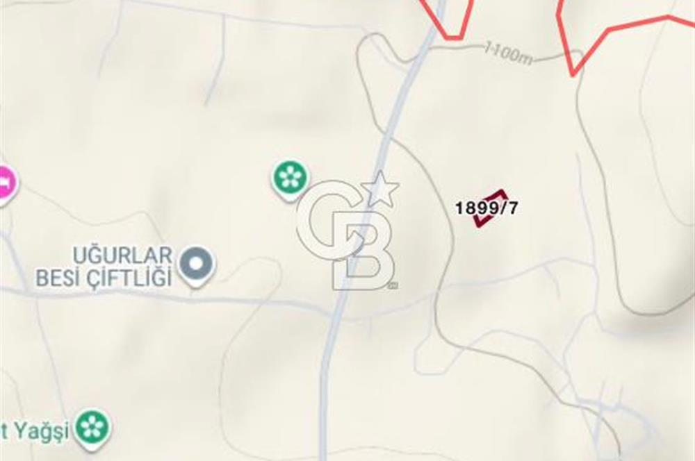 ELMADAĞ YENİMAHALLE TAŞPINAR MEVKİİ'NDE 2.881 M2 SATILIK TARLA