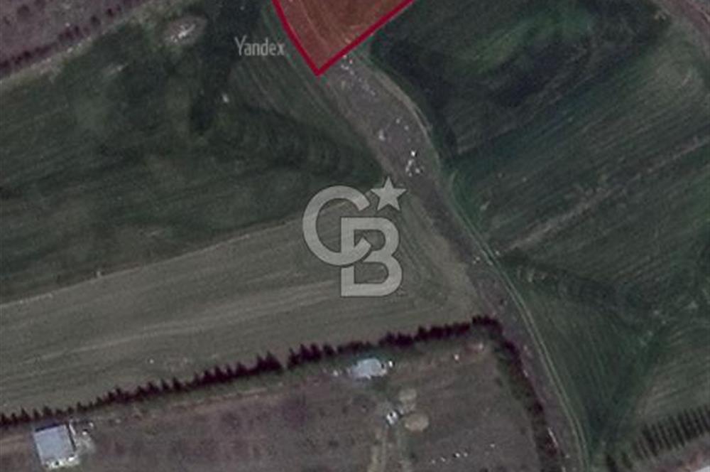 ELMADAĞ YENİMAHALLE TAŞPINAR MEVKİİ'NDE 2.881 M2 SATILIK TARLA