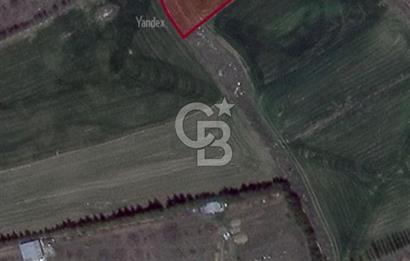 ELMADAĞ YENİMAHALLE TAŞPINAR MEVKİİ'NDE 2.881 M2 SATILIK TARLA