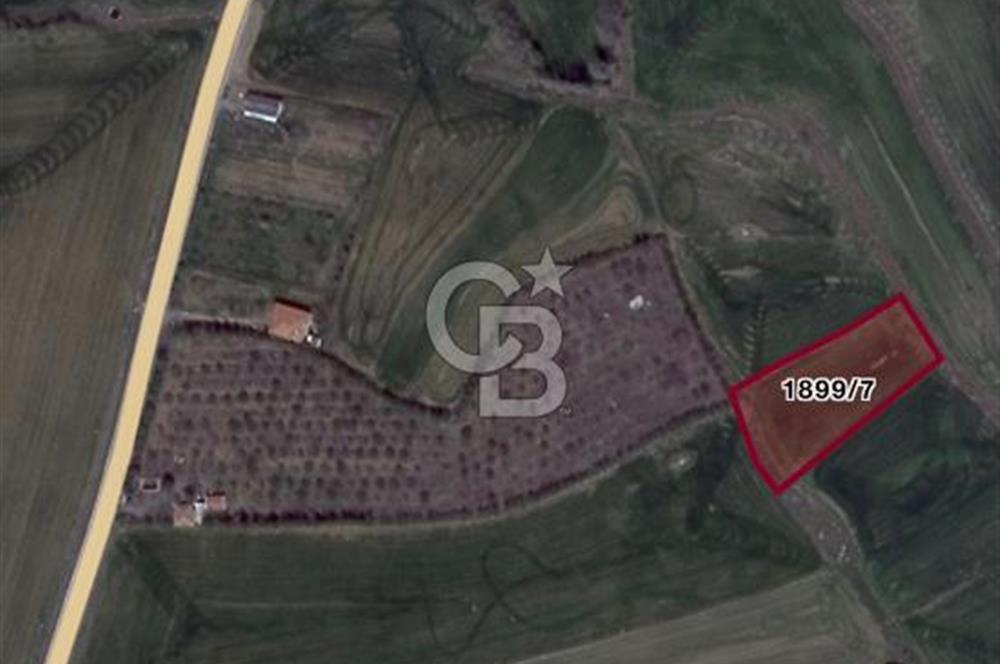 ELMADAĞ YENİMAHALLE TAŞPINAR MEVKİİ'NDE 2.881 M2 SATILIK TARLA