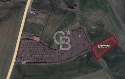 ELMADAĞ YENİMAHALLE TAŞPINAR MEVKİİ'NDE 2.881 M2 SATILIK TARLA