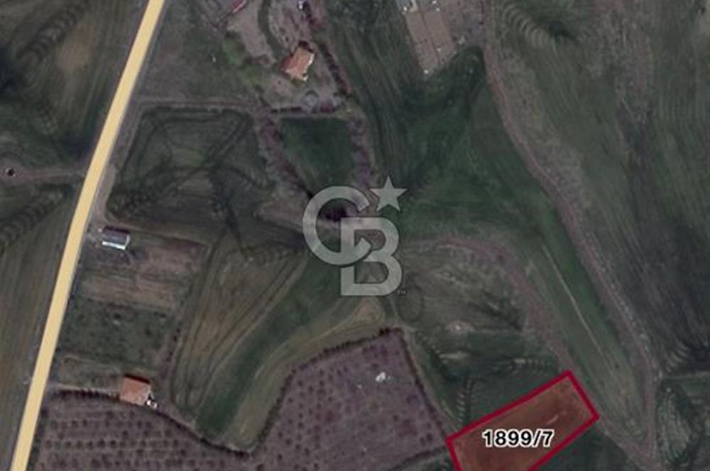 ELMADAĞ YENİMAHALLE TAŞPINAR MEVKİİ'NDE 2.881 M2 SATILIK TARLA