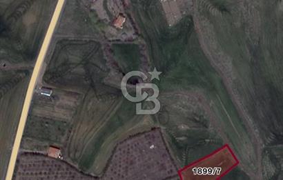ELMADAĞ YENİMAHALLE TAŞPINAR MEVKİİ'NDE 2.881 M2 SATILIK TARLA