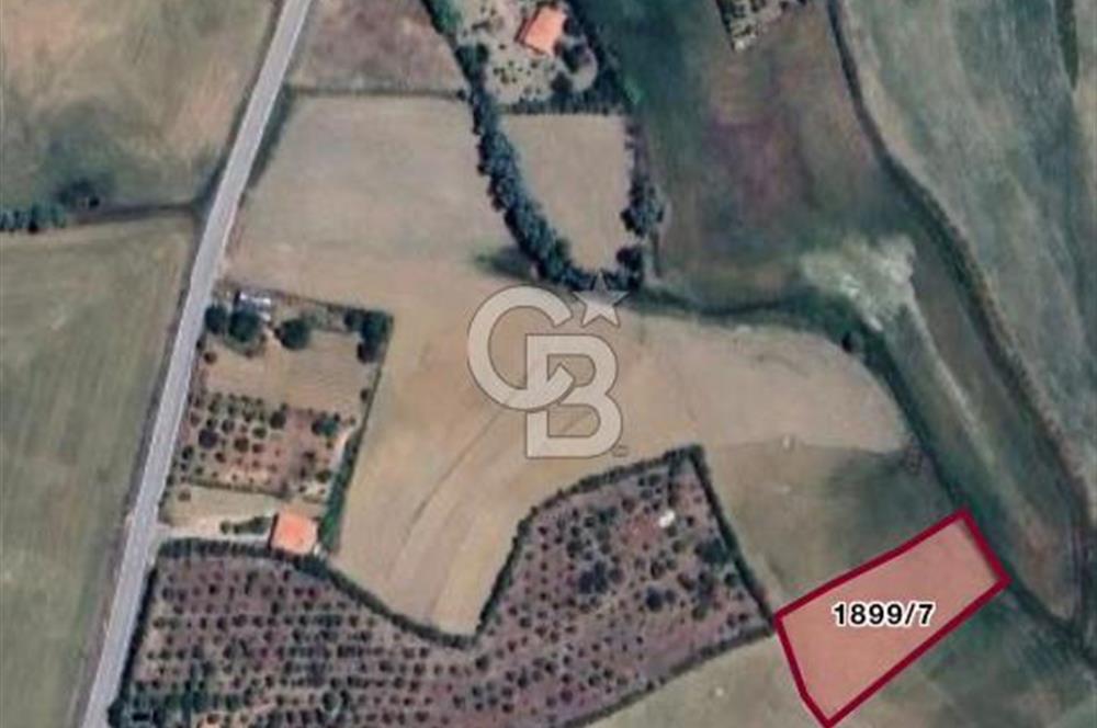 ELMADAĞ YENİMAHALLE TAŞPINAR MEVKİİ'NDE 2.881 M2 SATILIK TARLA
