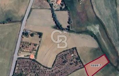 ELMADAĞ YENİMAHALLE TAŞPINAR MEVKİİ'NDE 2.881 M2 SATILIK TARLA