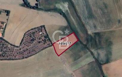 ELMADAĞ YENİMAHALLE TAŞPINAR MEVKİİ'NDE 2.881 M2 SATILIK TARLA