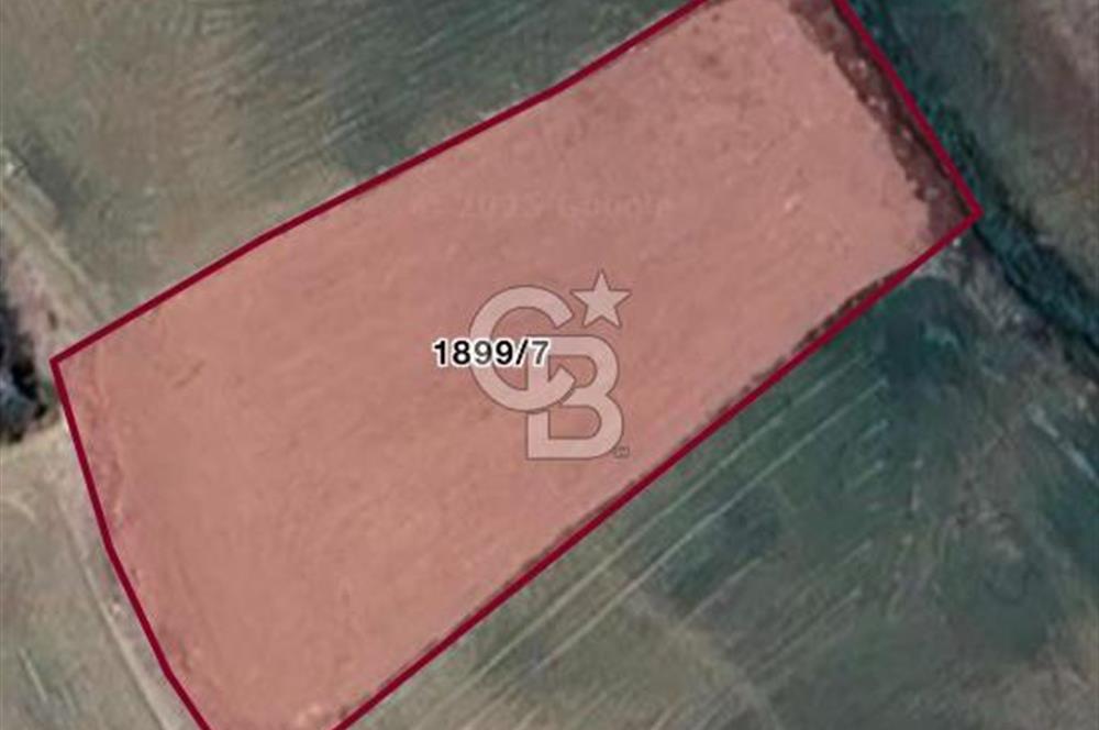 ELMADAĞ YENİMAHALLE TAŞPINAR MEVKİİ'NDE 2.881 M2 SATILIK TARLA
