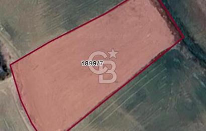 ELMADAĞ YENİMAHALLE TAŞPINAR MEVKİİ'NDE 2.881 M2 SATILIK TARLA