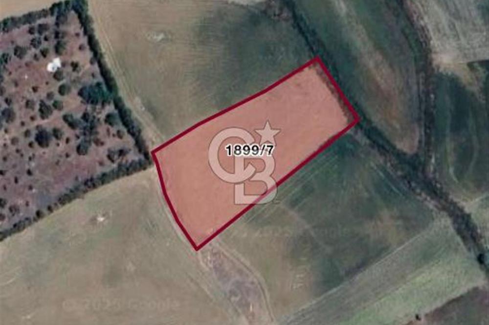 ELMADAĞ YENİMAHALLE TAŞPINAR MEVKİİ'NDE 2.881 M2 SATILIK TARLA