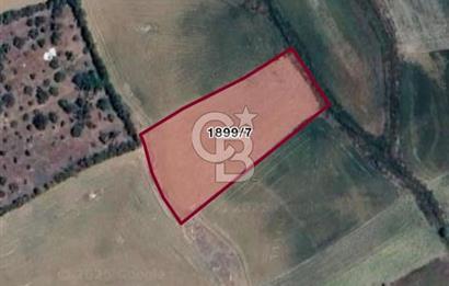 ELMADAĞ YENİMAHALLE TAŞPINAR MEVKİİ'NDE 2.881 M2 SATILIK TARLA