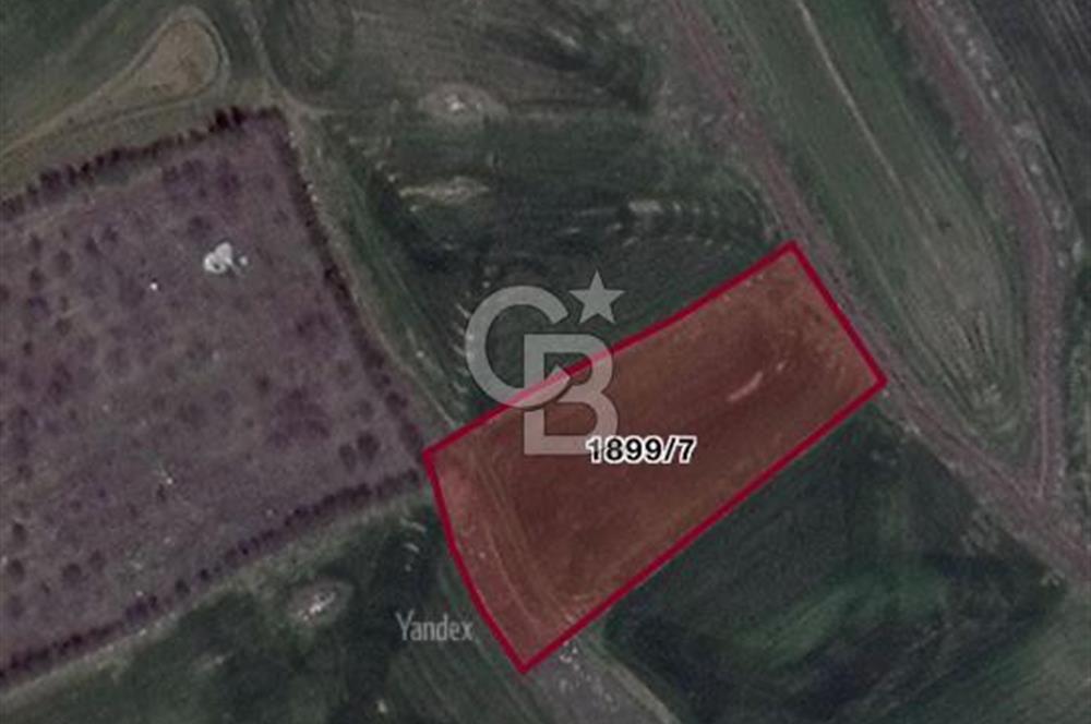 ELMADAĞ YENİMAHALLE TAŞPINAR MEVKİİ'NDE 2.881 M2 SATILIK TARLA