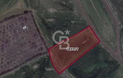 ELMADAĞ YENİMAHALLE TAŞPINAR MEVKİİ'NDE 2.881 M2 SATILIK TARLA