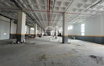 CB ONKO dan Deliklikaya da Satılık Fabrika Katı
