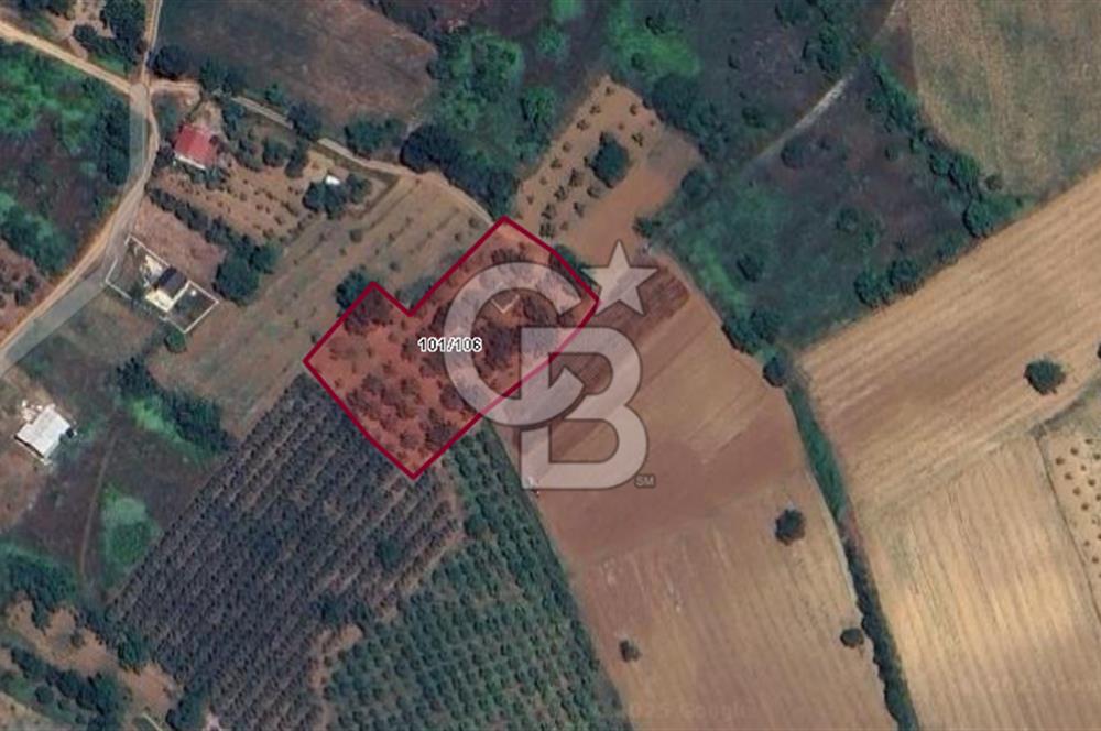 CB BLACK İNEGÖL AKINCILAR SATILIK 3 DÖNÜM ARAZİ