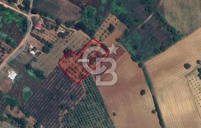CB BLACK İNEGÖL AKINCILAR SATILIK 3 DÖNÜM ARAZİ