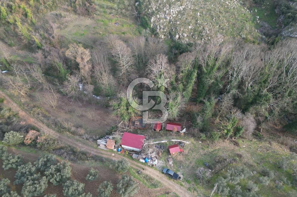 İZNİK DEREKÖYDE DERE KENARINDA SATILIK 1150 M2 ARSA