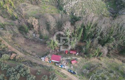 İZNİK DEREKÖYDE DERE KENARINDA SATILIK 1150 M2 ARSA