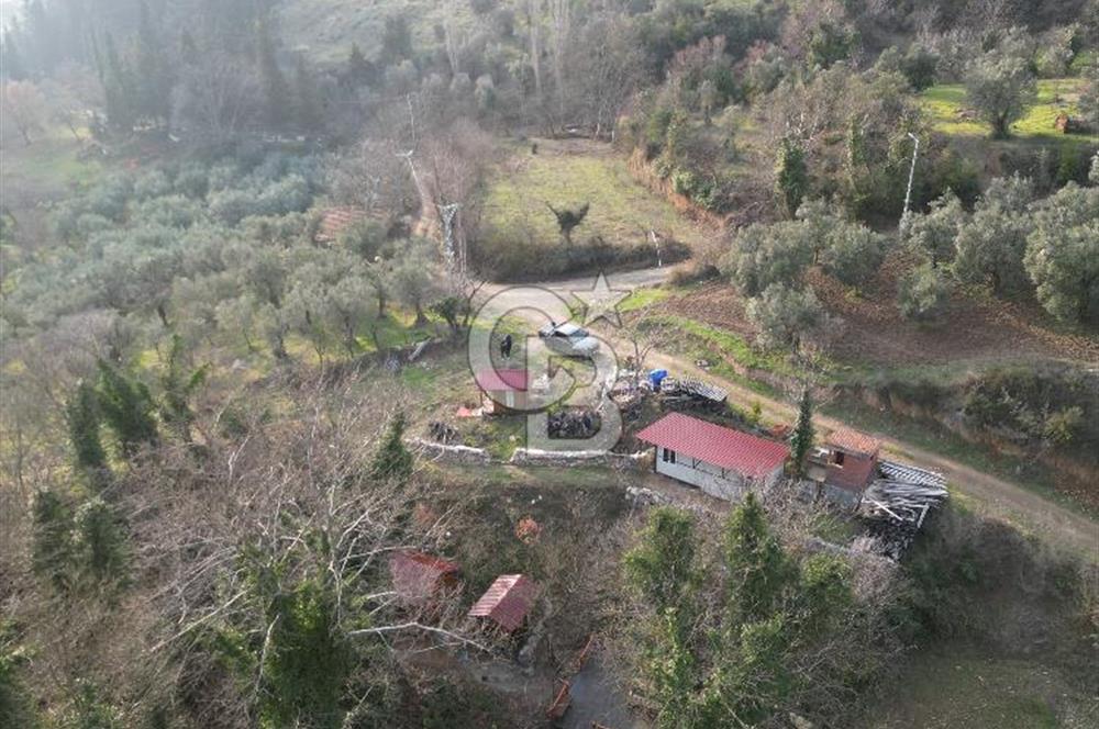 İZNİK DEREKÖYDE DERE KENARINDA SATILIK 1150 M2 ARSA