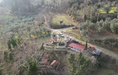İZNİK DEREKÖYDE DERE KENARINDA SATILIK 1150 M2 ARSA
