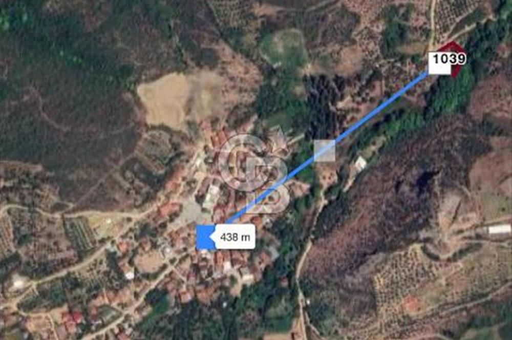 İZNİK DEREKÖYDE DERE KENARINDA SATILIK 1150 M2 ARSA