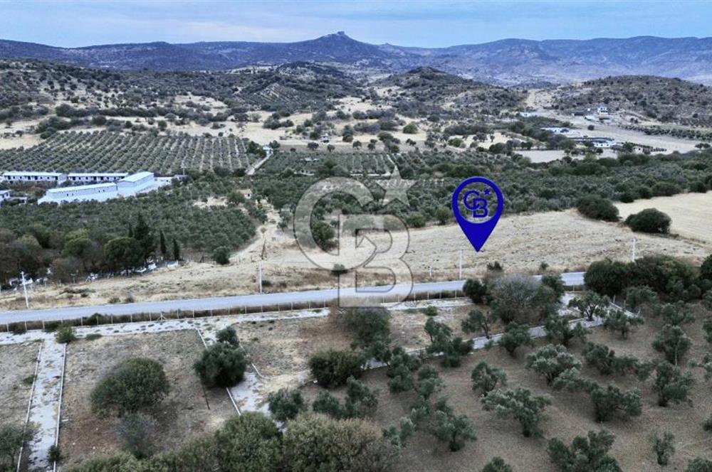 Foça Fevzi Çakmak Mah. Satılık Hisseli Tarla
