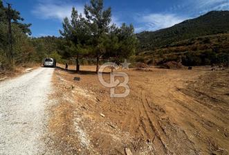 Ahmetbeyli'de 4266 m2 Satılık Tarla kadastral yola 75 mt cepheli