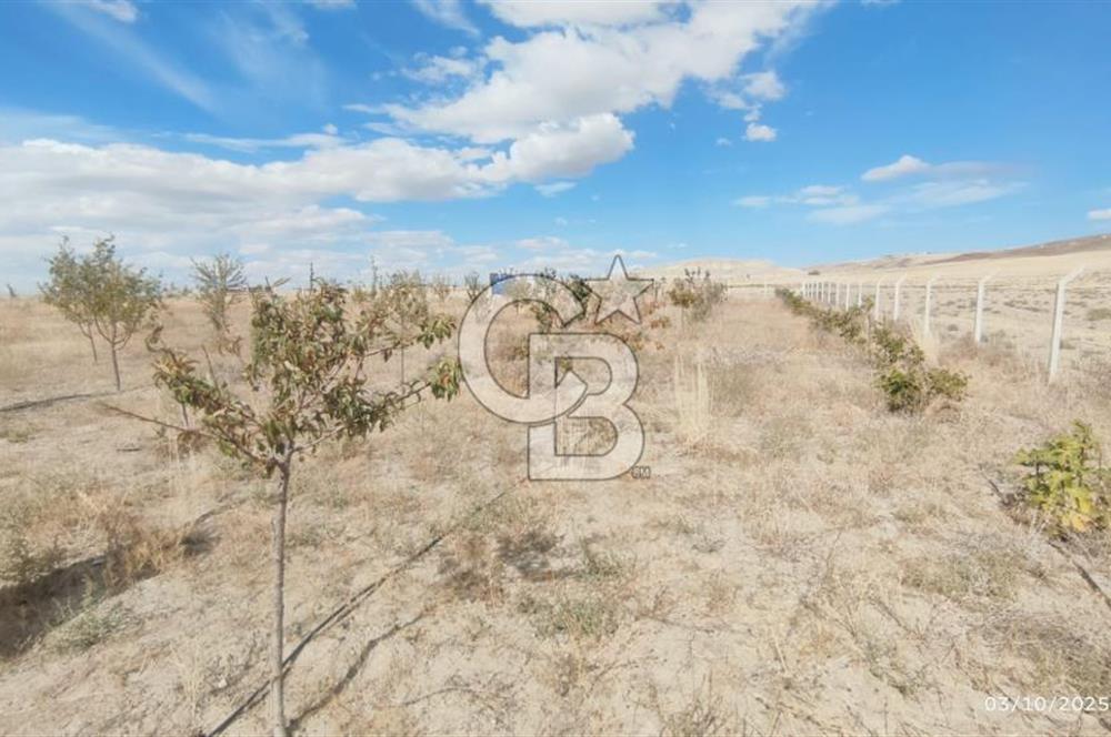 GÖLBAŞI EMİRLER MAHALLESİNDE SATILIK 14.020 M² (TEK TAPU) TARLA