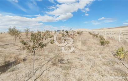 GÖLBAŞI EMİRLER MAHALLESİNDE SATILIK 14.020 M² (TEK TAPU) TARLA