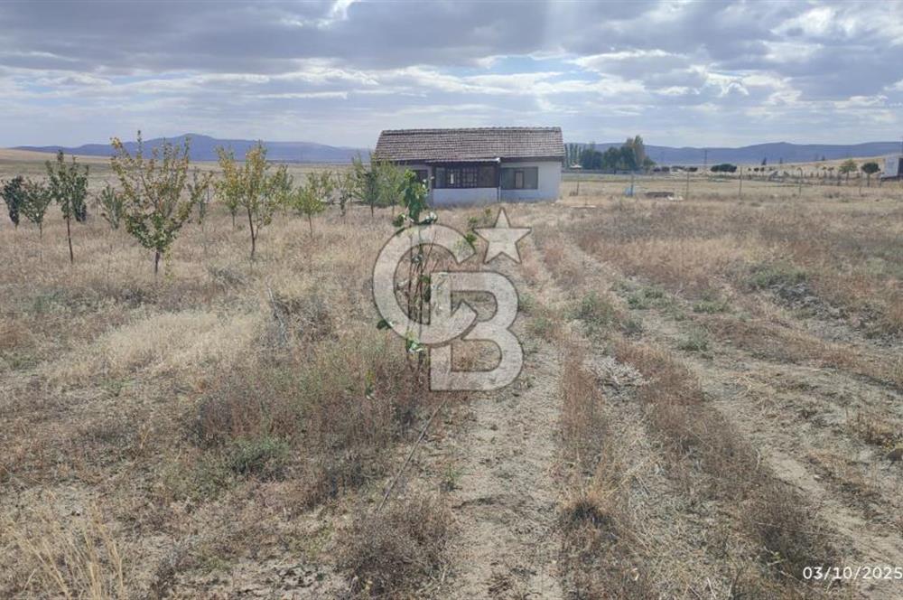 GÖLBAŞI EMİRLER MAHALLESİNDE SATILIK 14.020 M² (TEK TAPU) TARLA