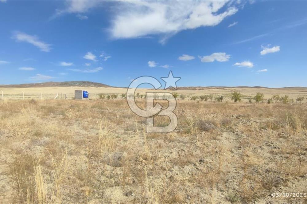 GÖLBAŞI EMİRLER MAHALLESİNDE SATILIK 14.020 M² (TEK TAPU) TARLA