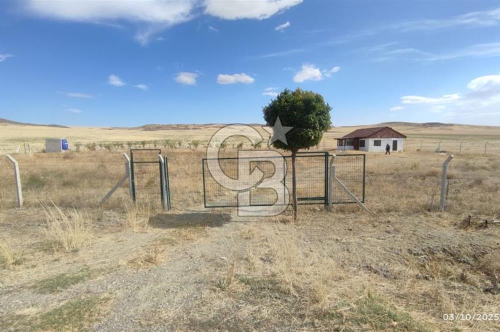 GÖLBAŞI EMİRLER MAHALLESİNDE SATILIK 14.020 M² (TEK TAPU) TARLA