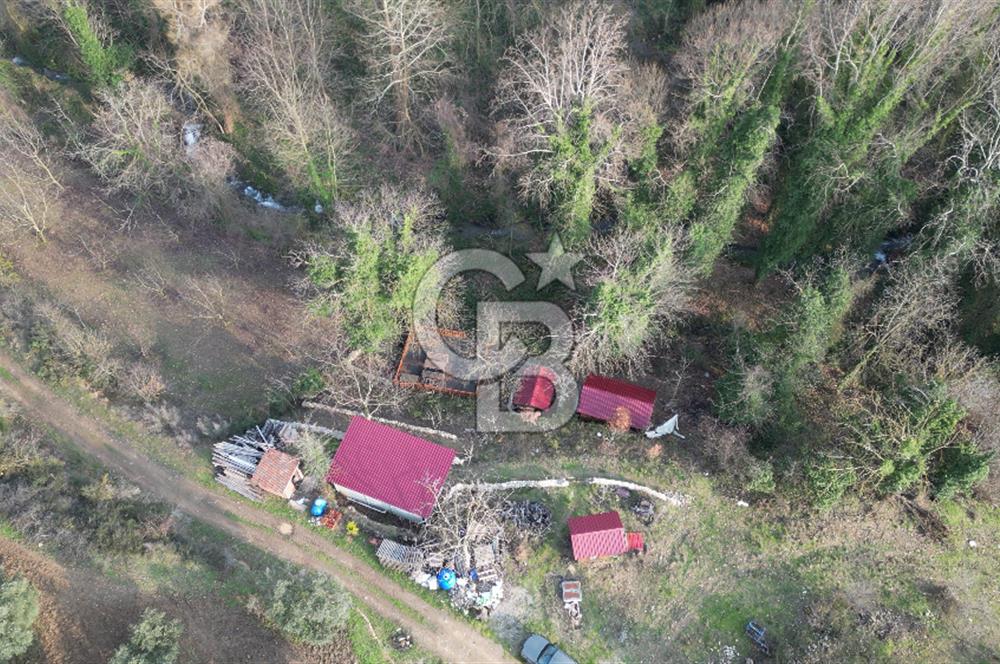 İZNİK DEREKÖYDE DERE KENARINDA SATILIK 1150 M2 ARSA