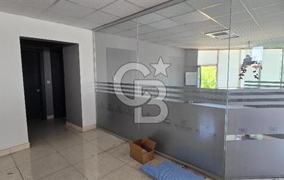 Kiralık İş Yeri, Ofis, Pek çok işe Uygun