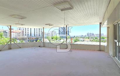 Kiralık İş Yeri, Ofis, Pek çok işe Uygun