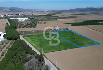 BERGAMA AŞAĞIKIRIKLAR'DA (6643 M²) SATILIK TARLA