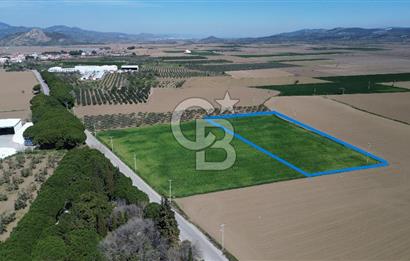 BERGAMA AŞAĞIKIRIKLAR'DA (6643 M²) SATILIK TARLA