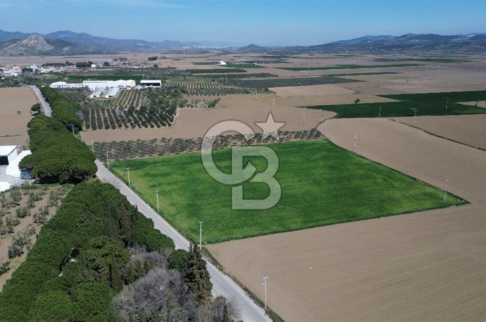 BERGAMA AŞAĞIKIRIKLAR'DA (6643 M²) SATILIK TARLA