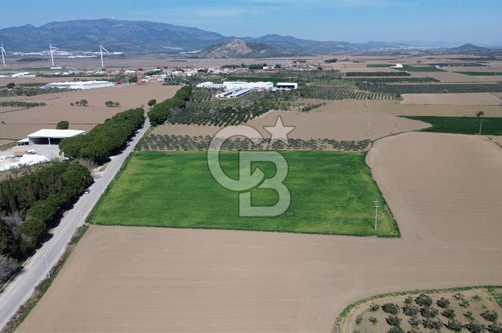 BERGAMA AŞAĞIKIRIKLAR'DA (6643 M²) SATILIK TARLA