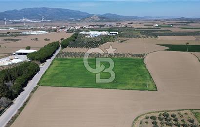 BERGAMA AŞAĞIKIRIKLAR'DA (6643 M²) SATILIK TARLA