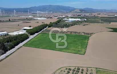 BERGAMA AŞAĞIKIRIKLAR'DA (6643 M²) SATILIK TARLA