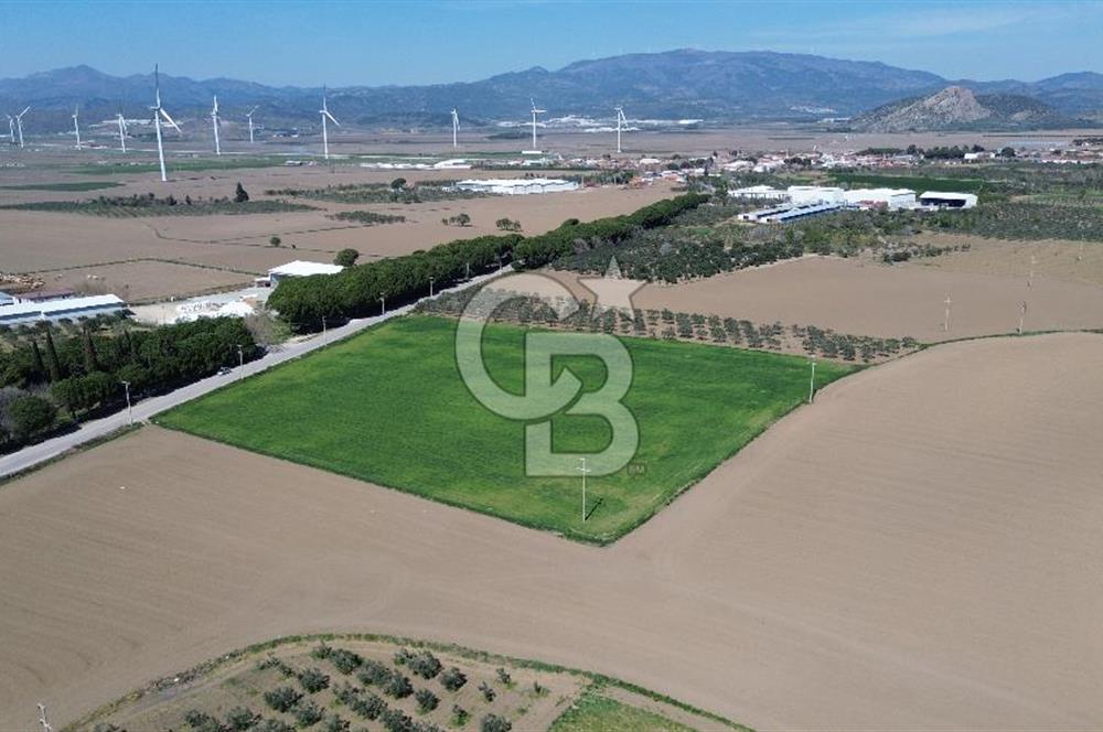 BERGAMA AŞAĞIKIRIKLAR'DA (6643 M²) SATILIK TARLA