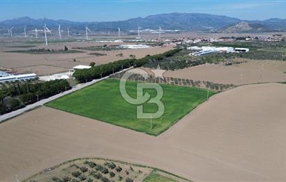 BERGAMA AŞAĞIKIRIKLAR'DA (6643 M²) SATILIK TARLA