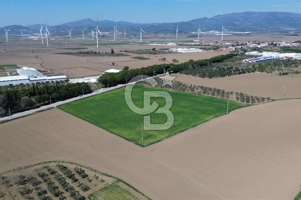 BERGAMA AŞAĞIKIRIKLAR'DA (6643 M²) SATILIK TARLA