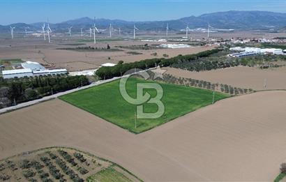 BERGAMA AŞAĞIKIRIKLAR'DA (6643 M²) SATILIK TARLA