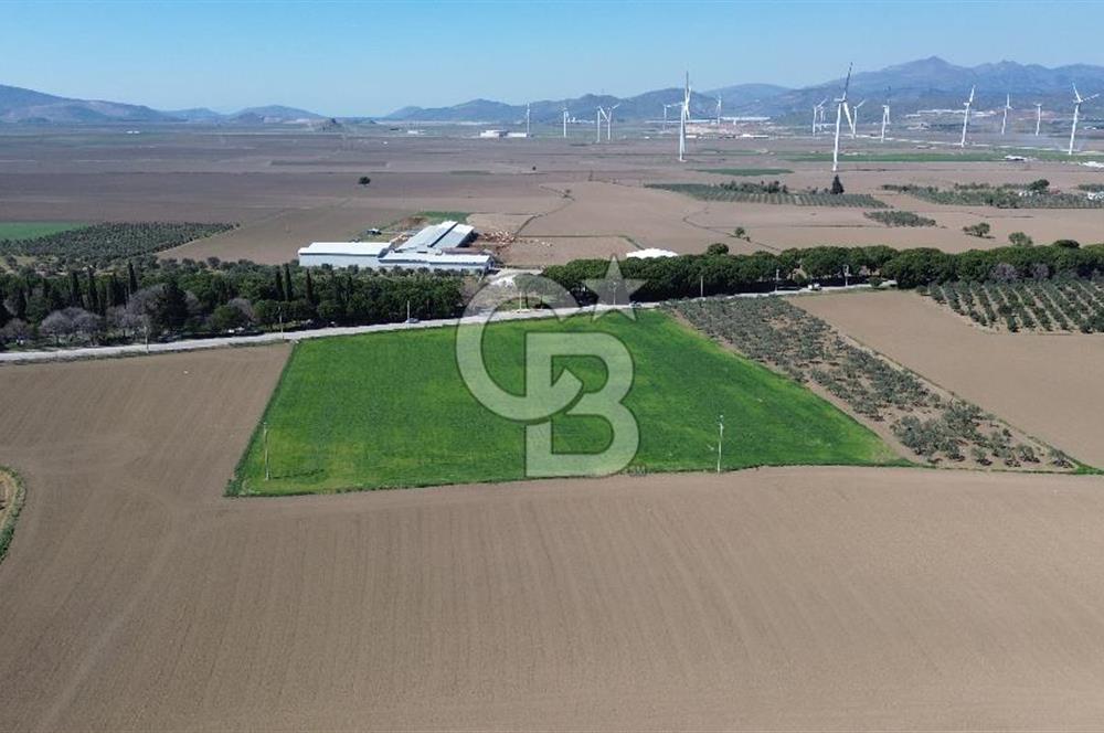 BERGAMA AŞAĞIKIRIKLAR'DA (6643 M²) SATILIK TARLA