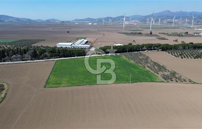 BERGAMA AŞAĞIKIRIKLAR'DA (6643 M²) SATILIK TARLA